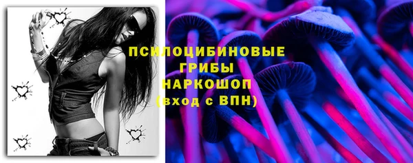 трава Осинники