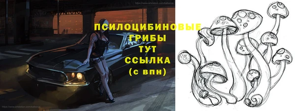 прущая мука Осташков