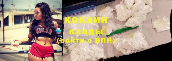 прущие крисы Пересвет