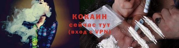 трава Осинники