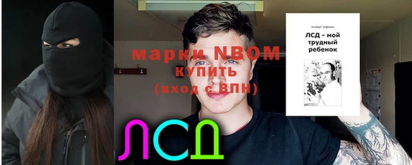 ГАЛЛЮЦИНОГЕННЫЕ ГРИБЫ Остров