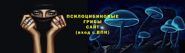 трава Осинники