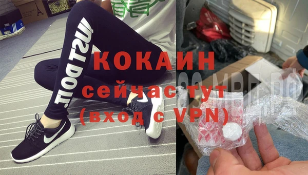 трава Осинники