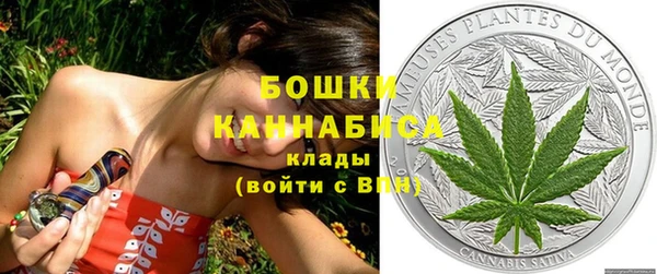 ГАЛЛЮЦИНОГЕННЫЕ ГРИБЫ Остров