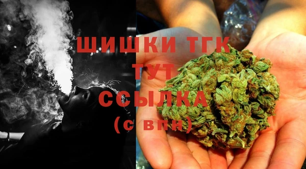 трава Осинники
