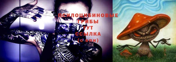 трава Осинники